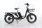 B2eBike City Cargo