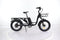 B2eBike City Cargo
