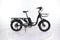 B2eBike City Cargo