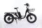 B2eBike City Cargo