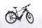 Raymon Tourray E 5.0