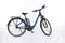 Raymon CityRay E 2.0 FW