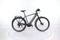 Gazelle Cityzen Speed 380