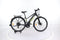Gitane e-Verso e-Going