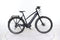 Gazelle CityZen Speed