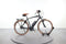 Riese & Müller Cruiser vario urban