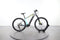 Trek Powerfly 5