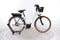 Riese & Müller Swing Vario