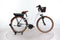 Riese & Müller Swing 3 Automatic
