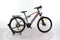 Peugeot ET01 FS CrossOver Perf