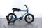 Ruff Cycles Lil Buddy