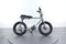 Ruff Cycles Lil Buddy