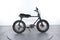 Ruff Cycles Lil Buddy