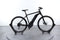 Giant Roam E+ GTS