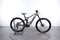 Orbea Wild FS H10