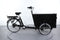 Babboe Pro Trike-E