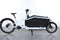 Cube Cargo Hybrid