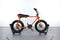 Ruff Cycles Lil Buddy