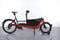 Riese & Müller Packster 40