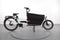 Riese & Müller Packster 60