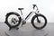 Rad Power Bikes Radrhino 6 Step Thru