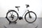 Riese & Müller Roadster Mixte Touring