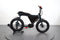Ruff Cycles Lil Buddy