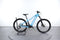 Trek Powerfly 4