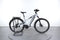 Bianchi e-Vertic X-Type