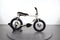 Ruff Cycles Lil Buddy