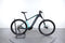 Trek Powerfly 4