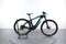 Bianchi e-Omnia X-Type