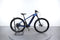 Trek Powerfly 5