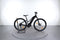 Giant Roam E+ STA