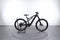 Lapierre Overvolt AM 4.5