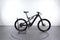Lapierre Overvolt AM 900i