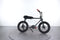 Ruff Cycles Lil'buddy