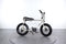 Ruff Cycles Lil'buddy