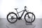 Cannondale Tesoro Neo X 3