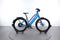 Stromer ST2 Beltdrive Sport
