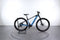 Mondraker Prime 29