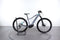Trek Powerfly 5