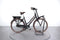 Gazelle Miss Grace C7+ HMB
