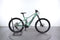 Orbea Wild FS