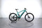 Haibike AllMtn 1