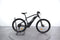Rockrider E-ST 500