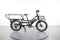 Rad Power Bikes RadWagon 4