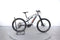 Lapierre Overvolt AM 5.5