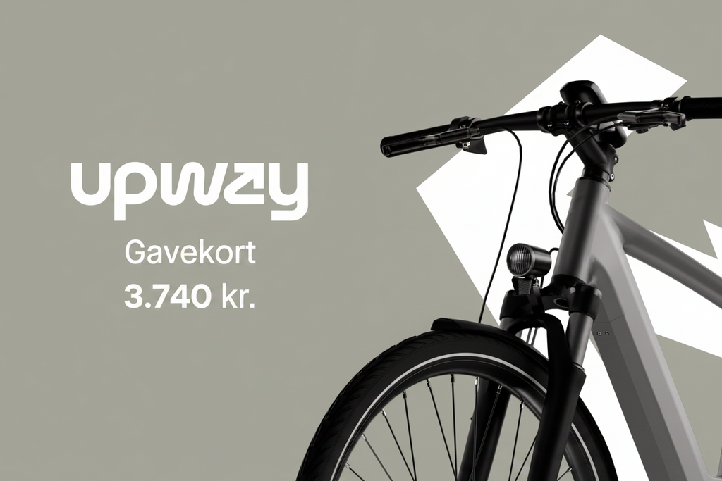 Gavekort 3.740 kr.